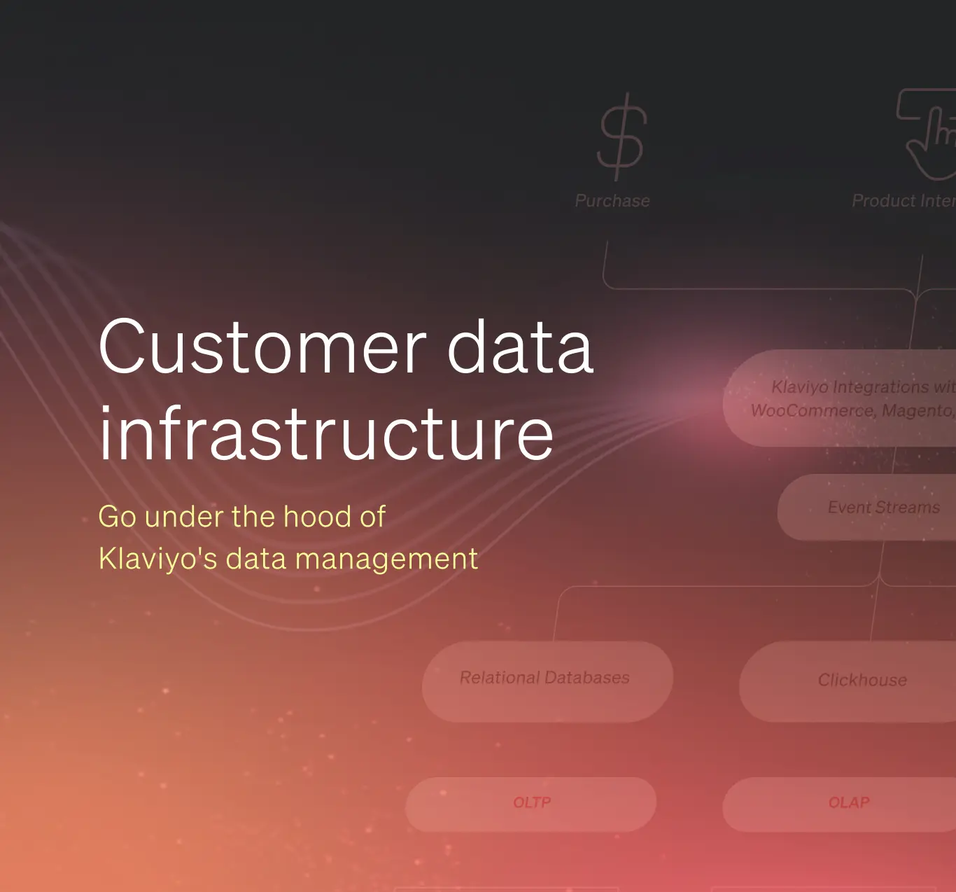 Understanding Customer Data Infrastructure